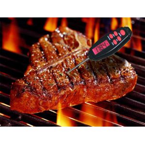 Test Instruments IPX 4 Digital Bbq Thermometer With Plastic Protection