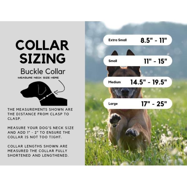 Durable Soft Nylon Dog Collar , Reflective Nylon Buckle Dog Collars