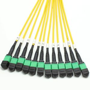 1M MPO Fanout Cable