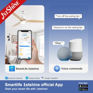 Home Ceiling Fan with Lights 1stshine 100% Copper Winding Wire and Dimmer