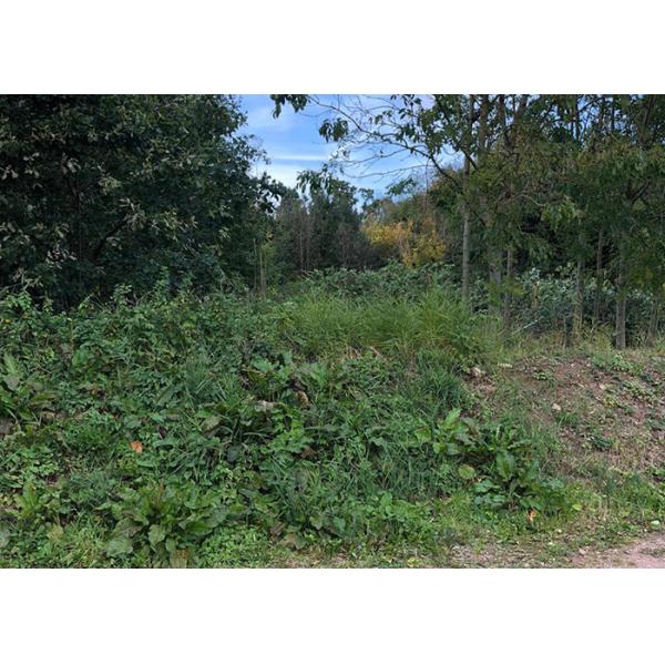 Prefabricated House Building Prefab H-Section High Strength Steel Structure Building New buggy storage for Golf Club