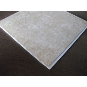 Mothproof PVC Ceiling Panels Plastic Wall Plate Environmental
