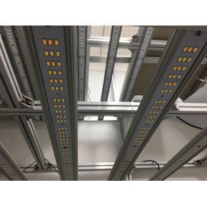 ETL 3.0umol/J 1000W Greenhouse Grow Lights