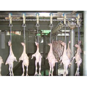 6m Poultry Farming Equipment The Beheaded Chicken Feet Cooling Machine