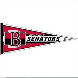 Swil Sports Club Polyester Felt Triangle Banner Digital Printing