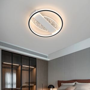 Modern Creative Ceiling Lights Art Deco Minimalist for Living Room Bedroom