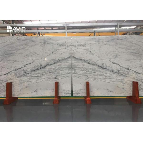 Buy Similar Carrara White Marble Slabs With Grey Veins For Flooring / Wall Cladding at wholesale prices