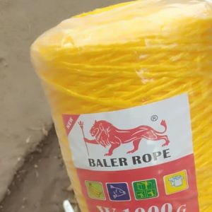 2mm 500G 1000G 2000G Agriculture PP Virgin Polypropylene Twine Rope