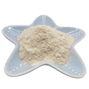85% Biopolymer Agricultural Chitosan Powder For Plants