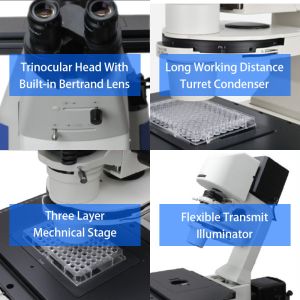 OPTO EDU A14.1097 SW10x Inverted Biological Microscope SW10x/22mm