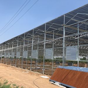 Inside Outside Shading System Hot Galvanized Steel Frame Large Polycarbonate