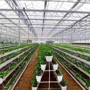 Strawberry Plant Greenhouse Poly Film Tunnel Arch Plastic Film