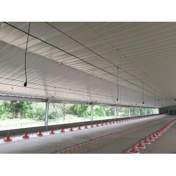 Automatic Steel Structure Poultry Farm Shed Design Modern Chicken House