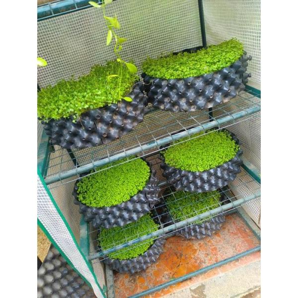 High quality air black pruning pot hydroponic strong root pruning pot nursery pots for plants