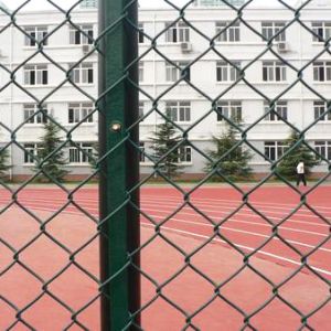 Flat Mesh Surface Pvc Coated Chain Link Fence Steel Wire Mesh Customized