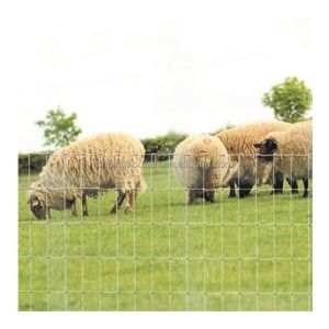 Square Hot Dipped Galvanized 1.2m Cattle Veld Span Fence of Iron Wire Coating