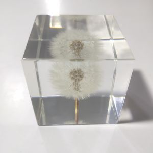 2.7" Resin Flower Paperweight 3D Dandelion Paperweight