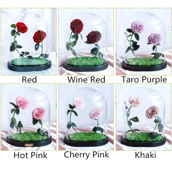 New Shape Glass dome Preserved Long Lasting Rose With Curving Stem In Glass Bell