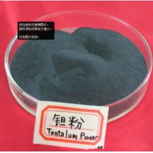 China Tantalum Powder on sale