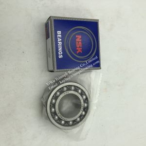 NSK Self-aligning Ball Bearing 2205 ，2206