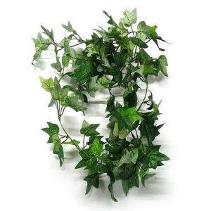 Quality English Ivy Garland for sale