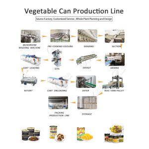 Asparagus Cutting Washing Processing Line / Broccoli Production Machine /