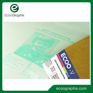 China Digital Photopolymer Negative Violet CTP Plate For Newspaper Printing on sale