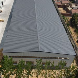 Prefabricated Steel Workshop Building with Daylighting
