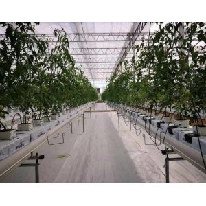Film Greenhouse Hydroponic System Package Gross Weight 2000.000kg Customized