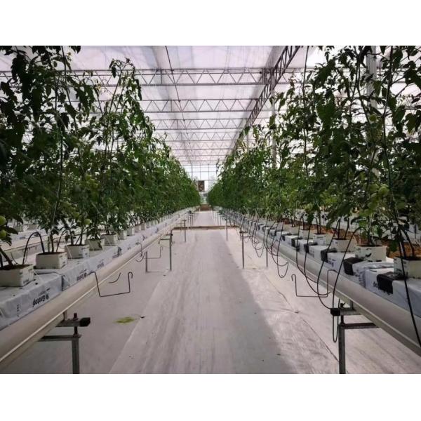 Film Greenhouse Hydroponic System Package Gross Weight 2000.000kg Customized