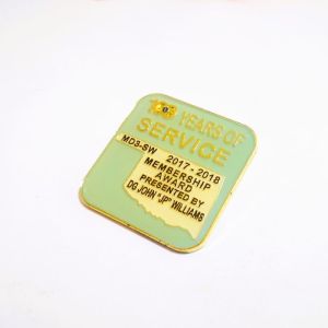 Anniversary Custom Soft Enamel Pins Epoxy Coated With 2 Posts For Awarding