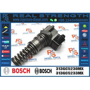 Common Rail Fuel Injector 313GC5230MX 313GC5230M 7485003175 0986445005 for DAF
