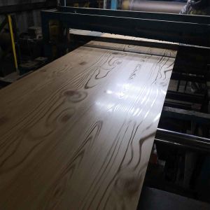 DX51D SGCC PPGI PPGL 600-1250mm Width Color Coated Steel Coil