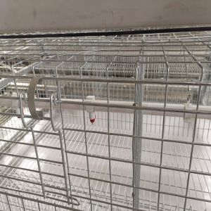 240 birds A Type 1 Day Old Brooding Cages For Chicks Q235 Steel Material