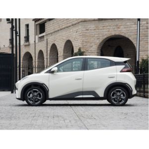 Yellow Byd Seagull Hatchback Vehicle Automobile Pure Electric 5 Seat