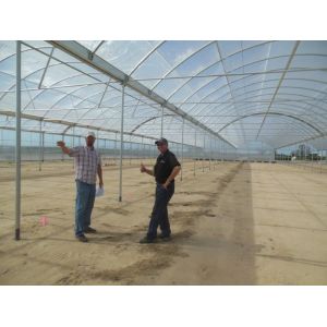 Hot Dipped Galvanized Steel Multi Tunnel Greenhouse Plastic Tomato Greenhouse