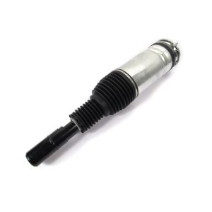 LR087083 Air Suspension Parts Air Suspension Strut