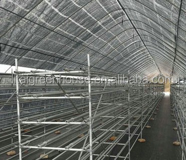 Single-Span Agricultural Greenhouses for Commercial Stable Structure Easily Assembled