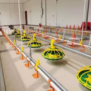 China 450kg/H Fully Automatic Chicken Feed Line With Hopper Galvanized Pipe on sale