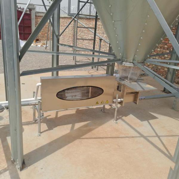 Automatic Piggery Farm Equipment 45mm Dia Disc Chain Feeding Hog Barn Supplies