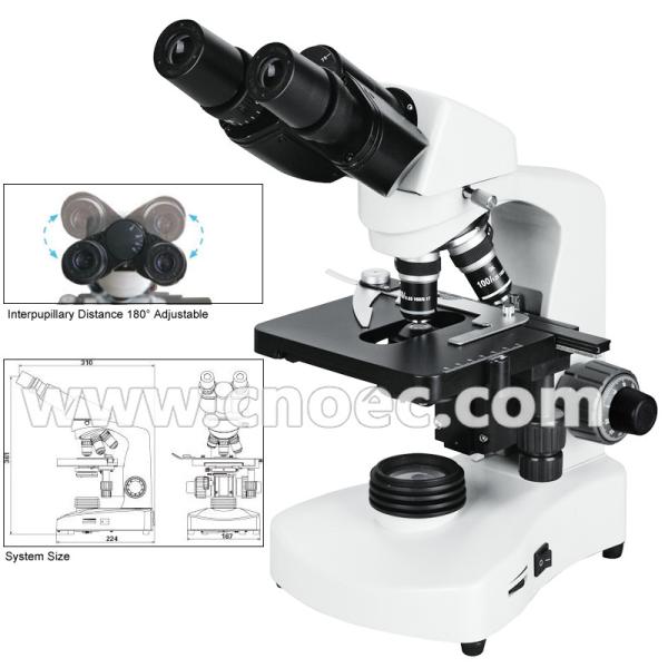 Buy Halogen Lamp Compound Optical Microscope For High School A12.1005 at wholesale prices