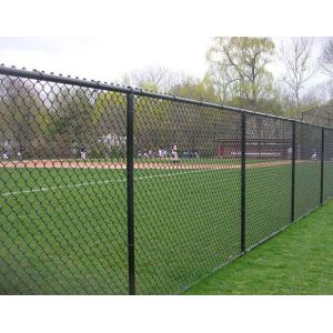 3mm 12 Gauge Chain Link Fence Pvc Coated Green 6x50
