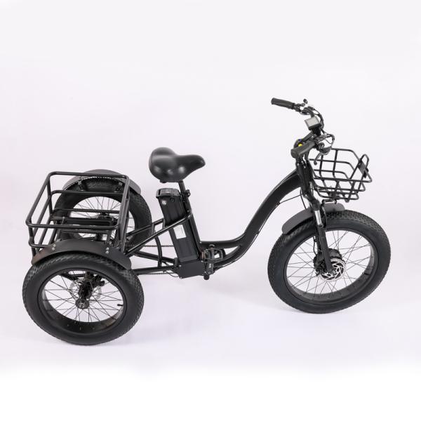 Wholesaler Adults 750w/500W 3 Wheel Electric Cargo Tricycle with Aluminium Alloy Fork