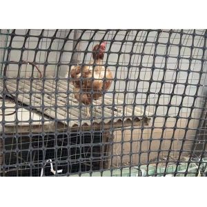 Coated Bitumen Biaxial Plastic Geogrid 10-100kn/M