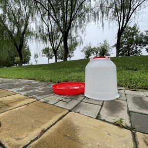 Efficient Durable Poultry Drinker Reliable Source Essential Tool Health Issues