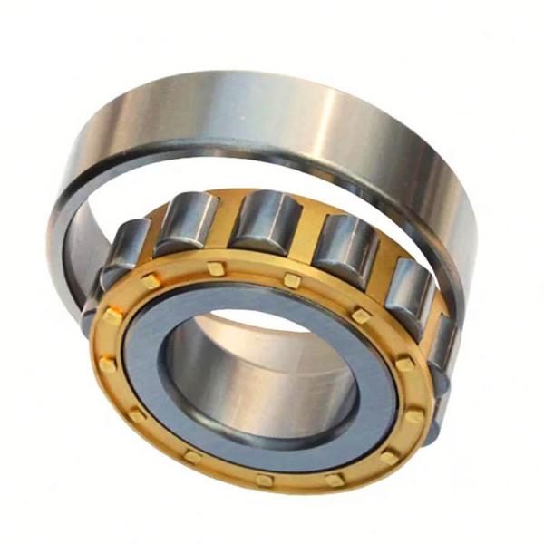 Buy P4 P2 Double Row NU2206 ECP Cylindrical Roller Bearing at wholesale prices