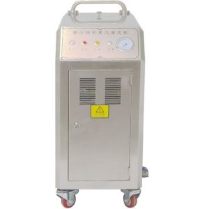 OEM ODM Portable Vapor Steam Car Washing Machine For Garment Shops