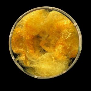 China 1.67Detx × 38mm Dope Dyed PSF Fiber Semi Dull / Full Dull / Bright Pattern Optional on sale