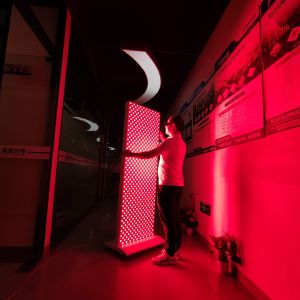 Red Light Therapy 660nm 850nm PDT LED Light Therapy Devices For Skin Care