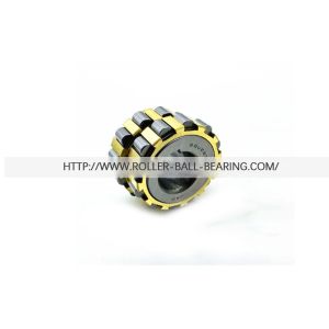 Eccentric Cylindrical Roller Bearing 22UZ831729 22UZ831729T2 22x54x32mm